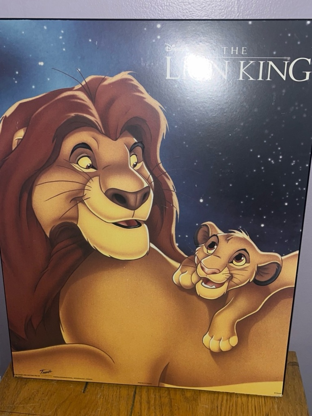Disney The Lion King Wall Art in Brown and Gold Tones